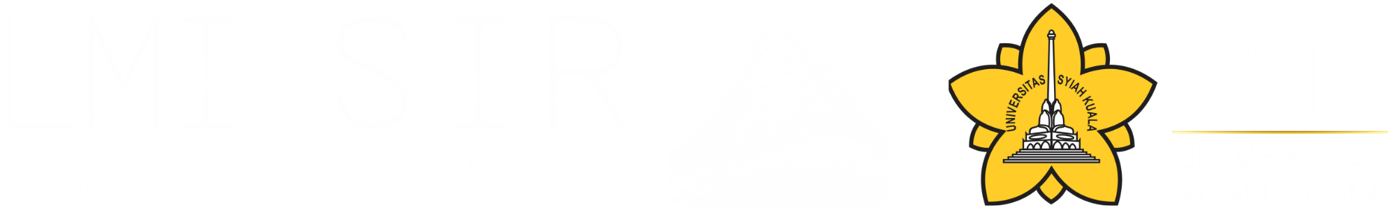 LMI-SIR